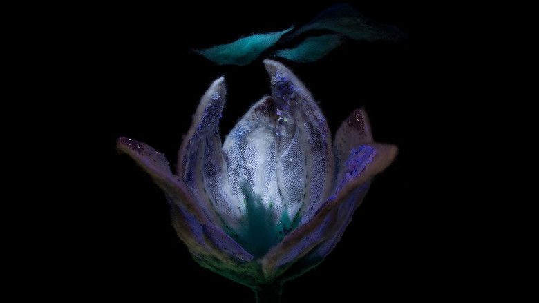 кадр из фильма Testigo Del Viento