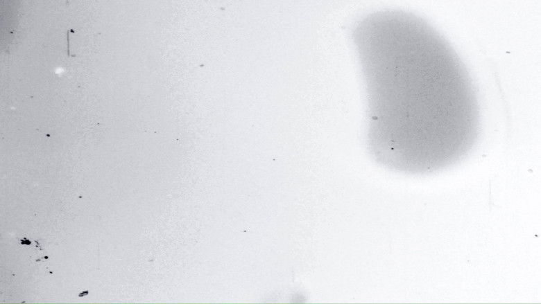 кадр из фильма Rain