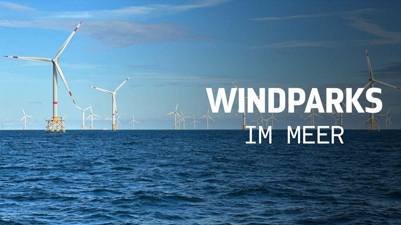 кадр из фильма Windparks im Meer - Chance oder Risiko für die Natur?