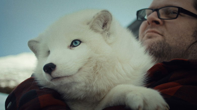 кадр из фильма Pet Farm