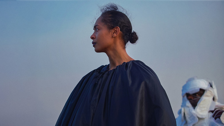 кадр из фильма On Becoming a Guinea Fowl