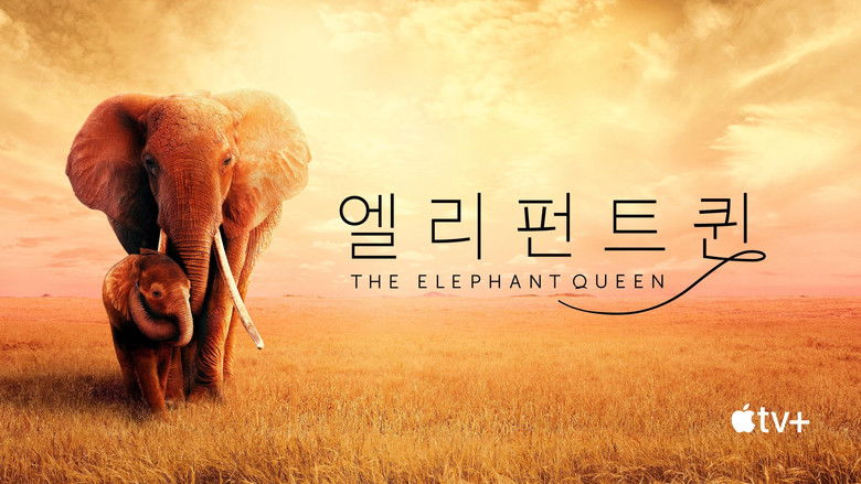 кадр из фильма Королева слонов