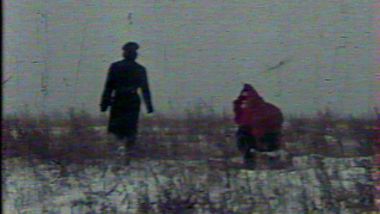 кадр из фильма Метаморфоза