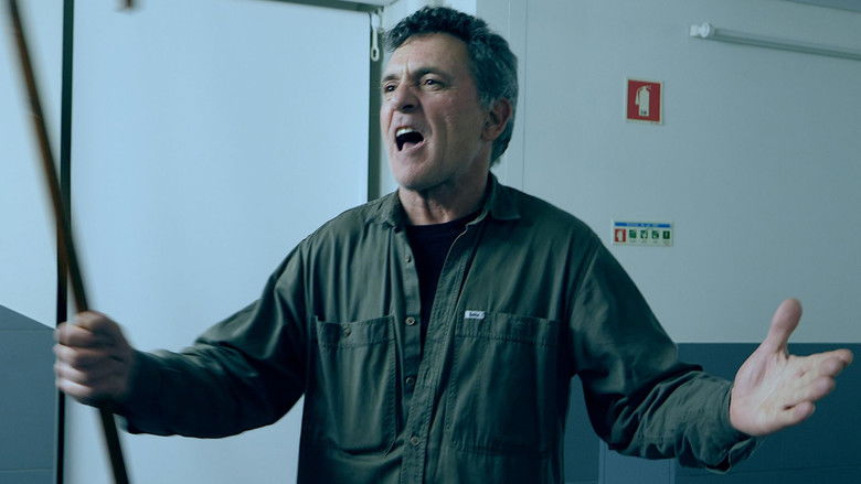 Gatos Com Oito Vidas