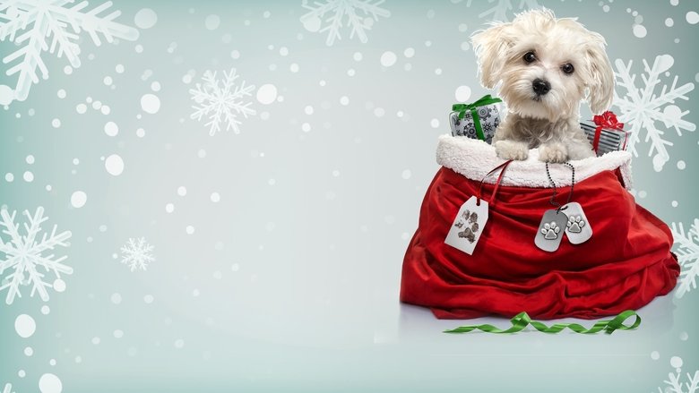 кадр из фильма Рождественское желание Чарли