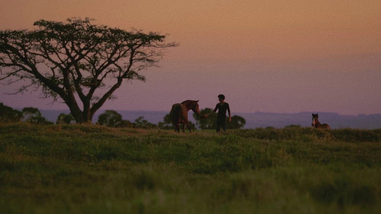 кадр из фильма Nosso Tipo Inesquecível