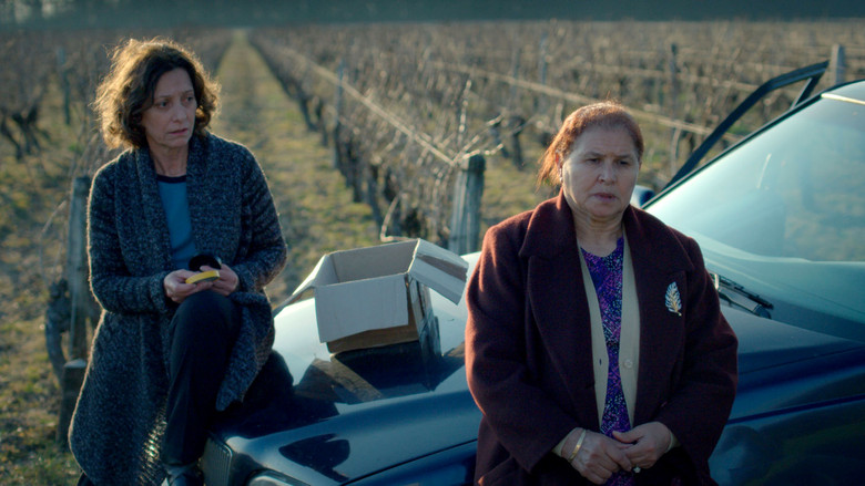 кадр из фильма D'une pierre deux coups