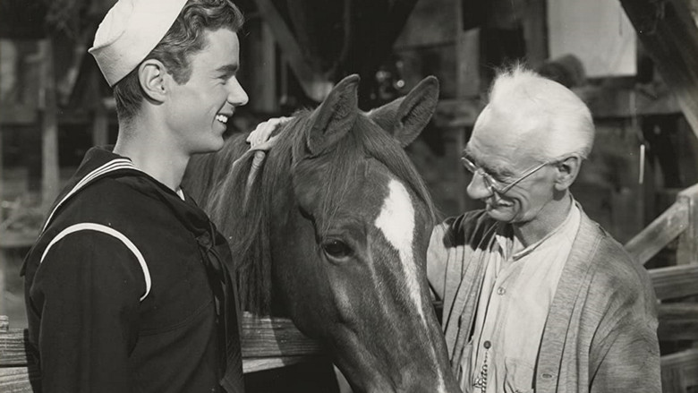 кадр из фильма Gallant Bess