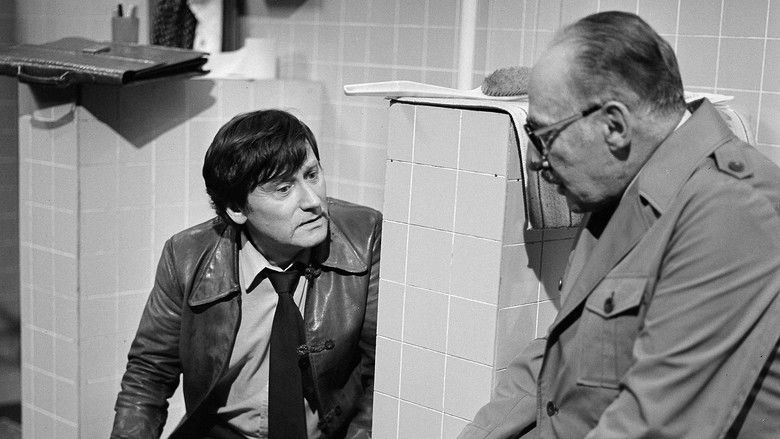 кадр из фильма Vdova po dvou mužích