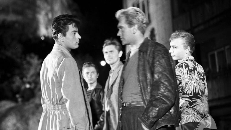 кадр из фильма Лунатики