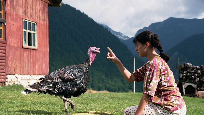 кадр из фильма Lost and Found