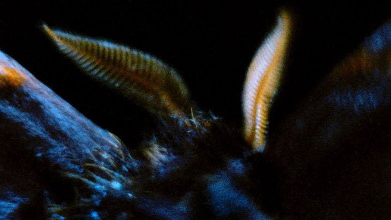 кадр из фильма When We Encounter the World