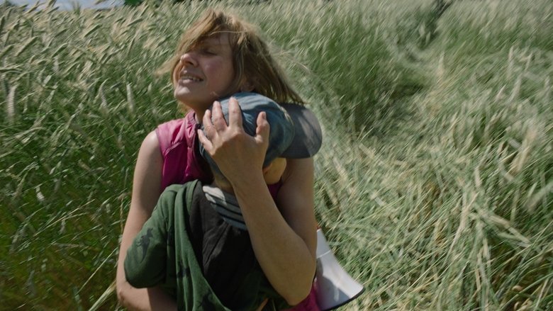 кадр из фильма Maakohus