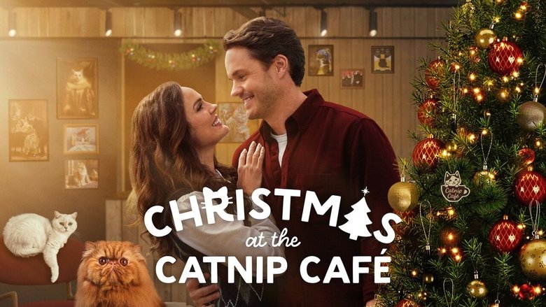 кадр из фильма Christmas at the Catnip Cafe