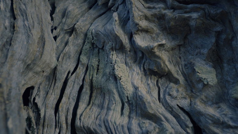 кадр из фильма Pedra i oli