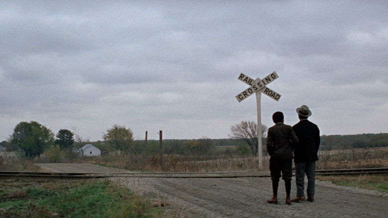 кадр из фильма The Learning Tree