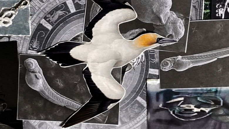 кадр из фильма Inmuebles