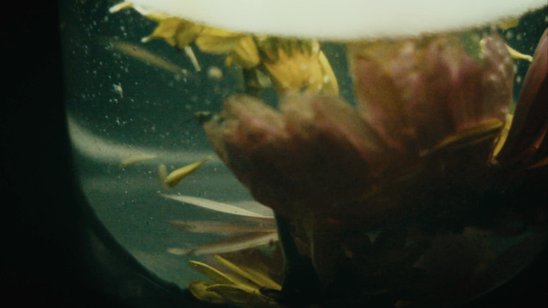 кадр из фильма phoools (the film)