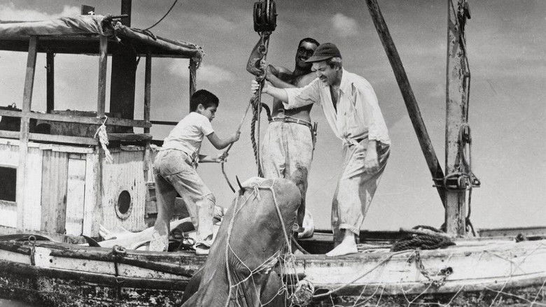 кадр из фильма Tiburoneros