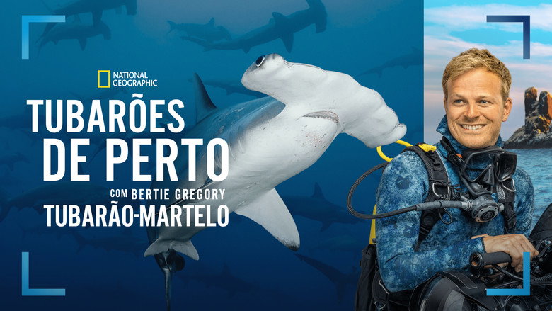кадр из фильма Hammerhead Sharks Up Close with Bertie Gregory