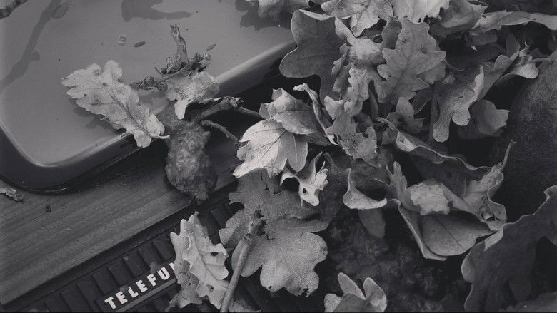 кадр из фильма tVision