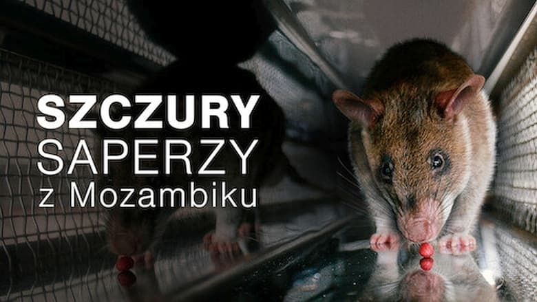 кадр из фильма Räumkommando Riesenratte - Spürnasen auf Minensuche