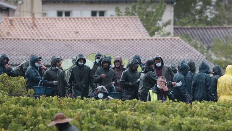 кадр из фильма Les raisins de la misère