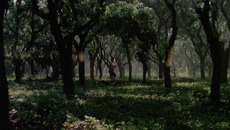 кадр из фильма Пять мастеров Шаолиня