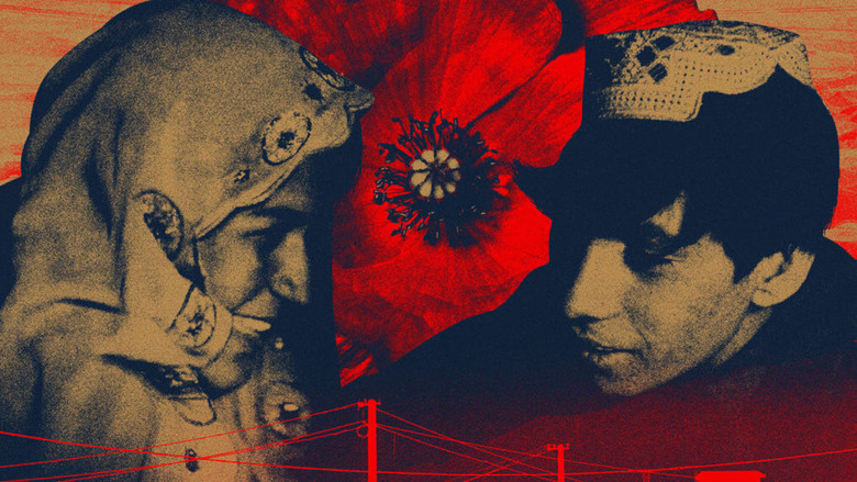 кадр из фильма Три песни для Беназир