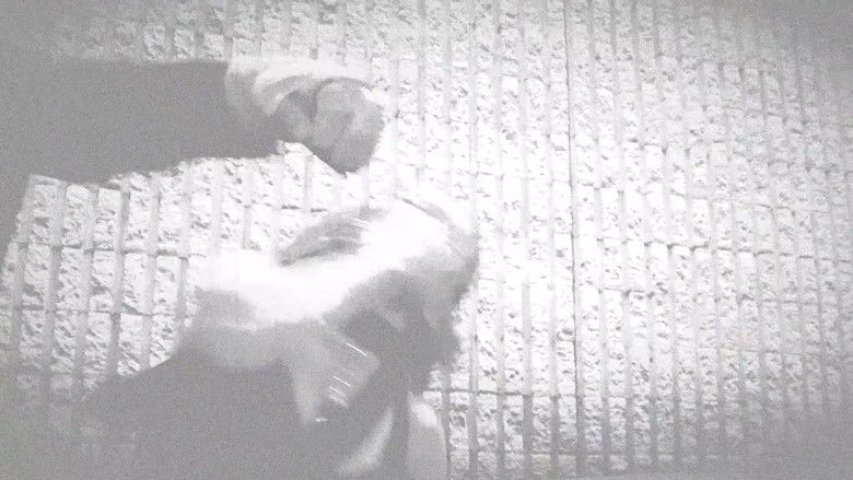 кадр из фильма Trapped In Sight