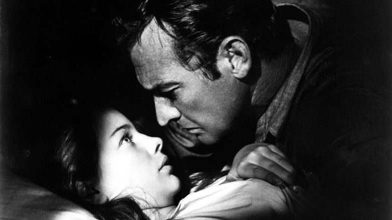 кадр из фильма The Young One