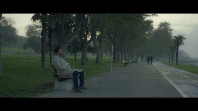 кадр из фильма Bir An Sonra Tıpkı Bir Düş Gibi