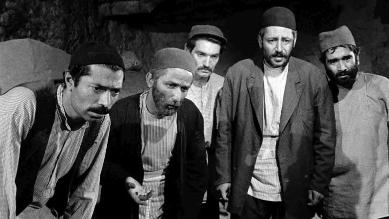 кадр из фильма Корова