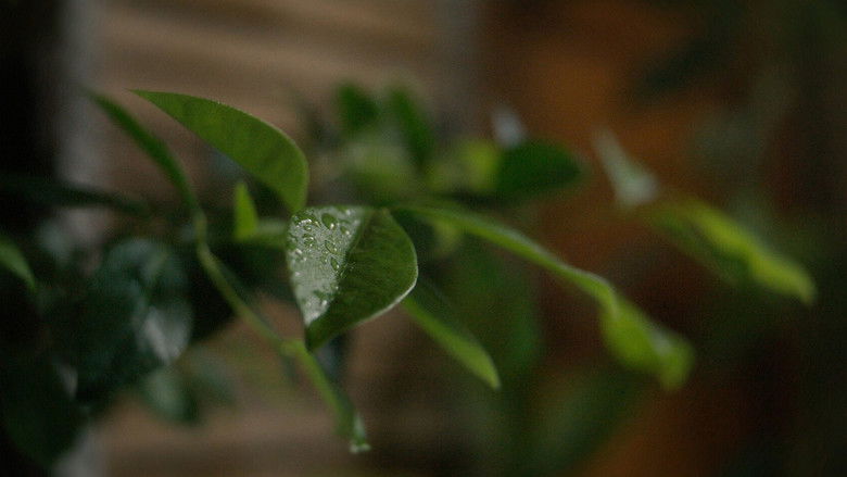 кадр из фильма New Human