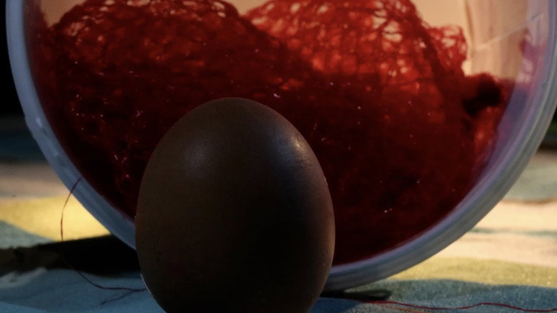 кадр из фильма 28 Eggs Later