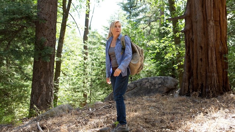 кадр из фильма В лесу