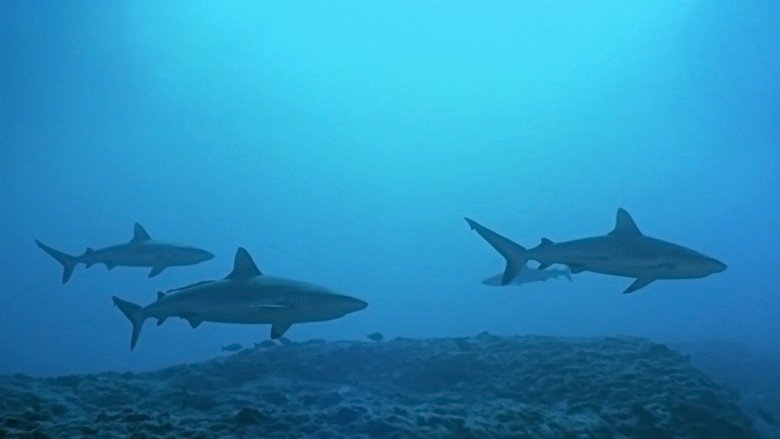 кадр из фильма Атлантида - Создания моря