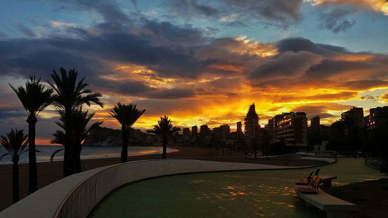 El hombre que embotelló el sol