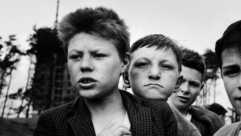 кадр из фильма Oscar Marzaroli - Man with a Camera