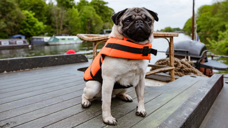 кадр из фильма Патрик