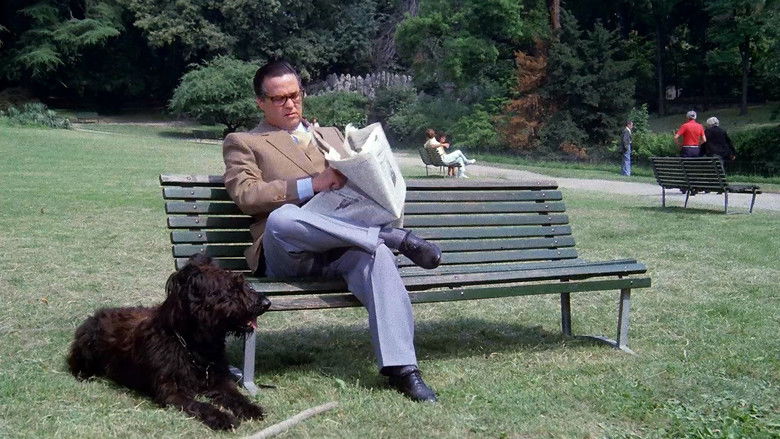 кадр из фильма È arrivato mio fratello