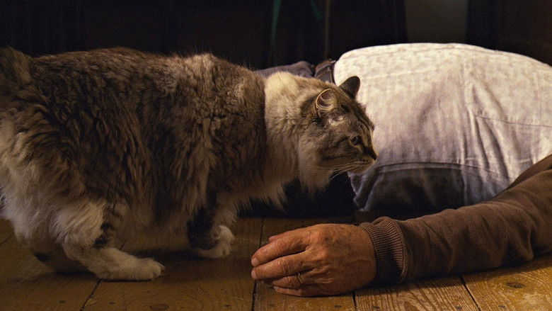 кадр из фильма Prach