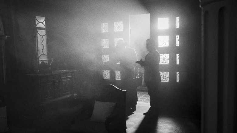 кадр из фильма Esta Noite Minha Alma Partirá