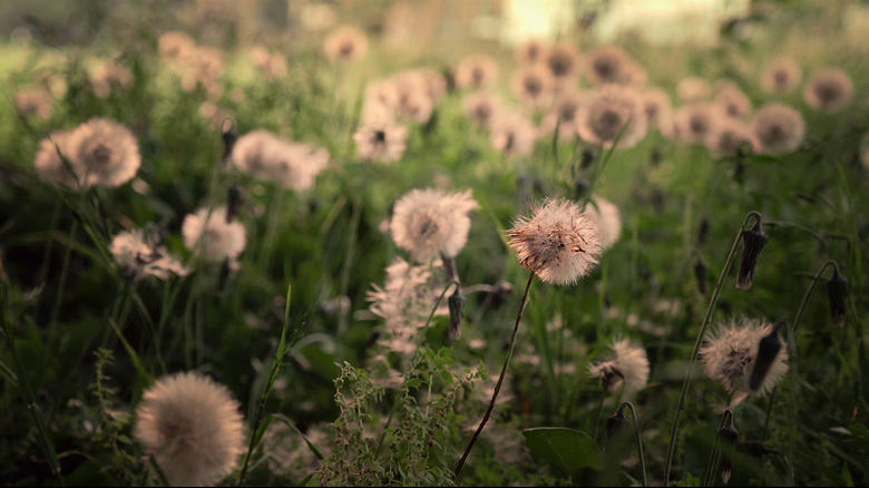 кадр из фильма Son las 12