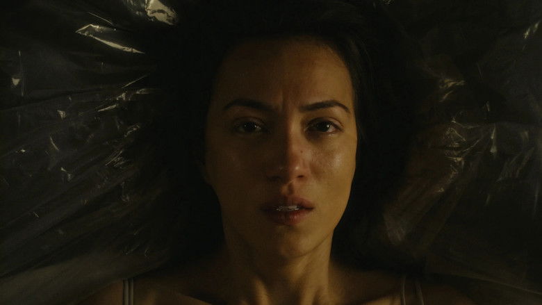 кадр из фильма Laceration