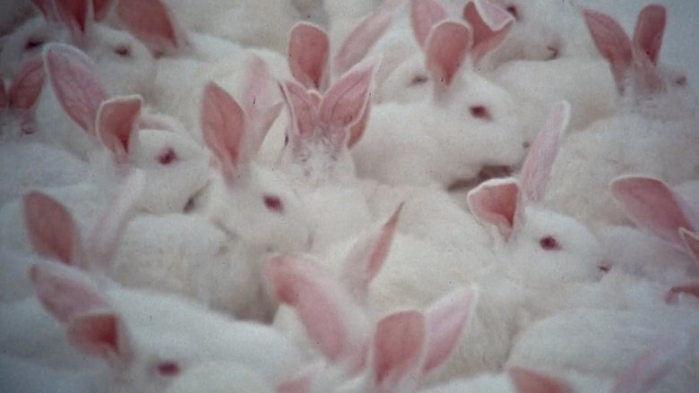 кадр из фильма Всё, что вы хотели знать о сексе, но боялись спросить