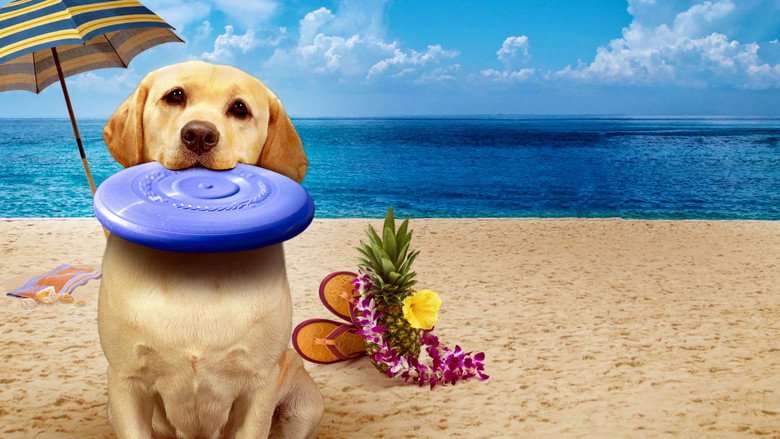 кадр из фильма The Dog Who Saved Summer