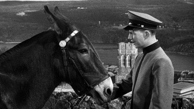 кадр из фильма Francis Goes to West Point