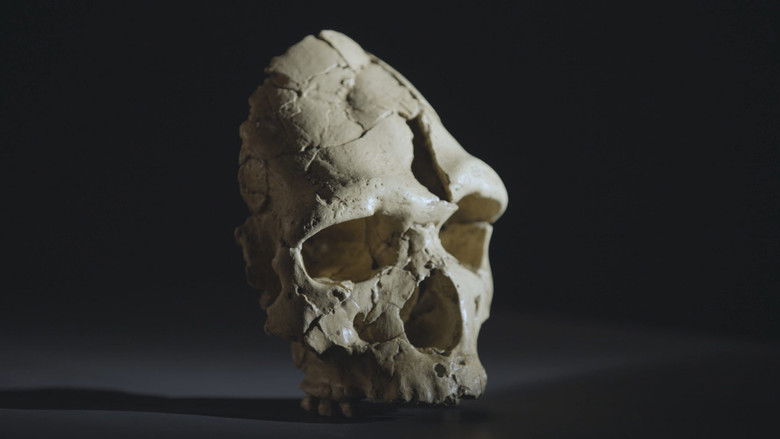 кадр из фильма Tautavel : vivre en Europe avant Néandertal