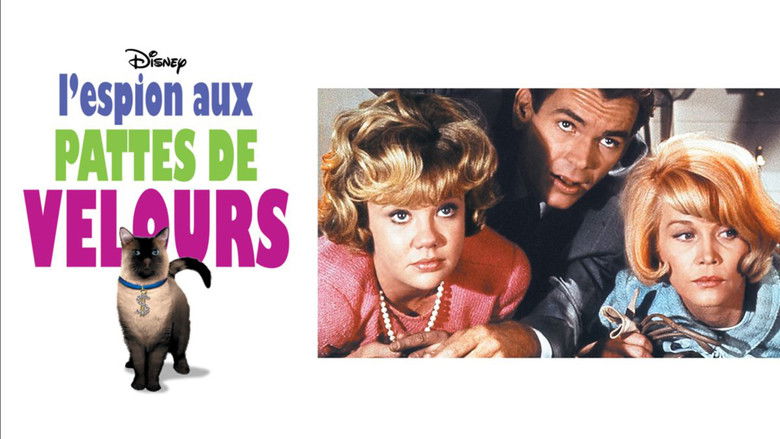 кадр из фильма Эта дикая кошка